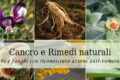 I 6 migliori rimedi naturali Anti-Cancro